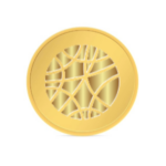 24KT 10 Gram Gold Coin