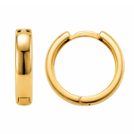 Hina Gold Hoop Earrings By Diamondiary